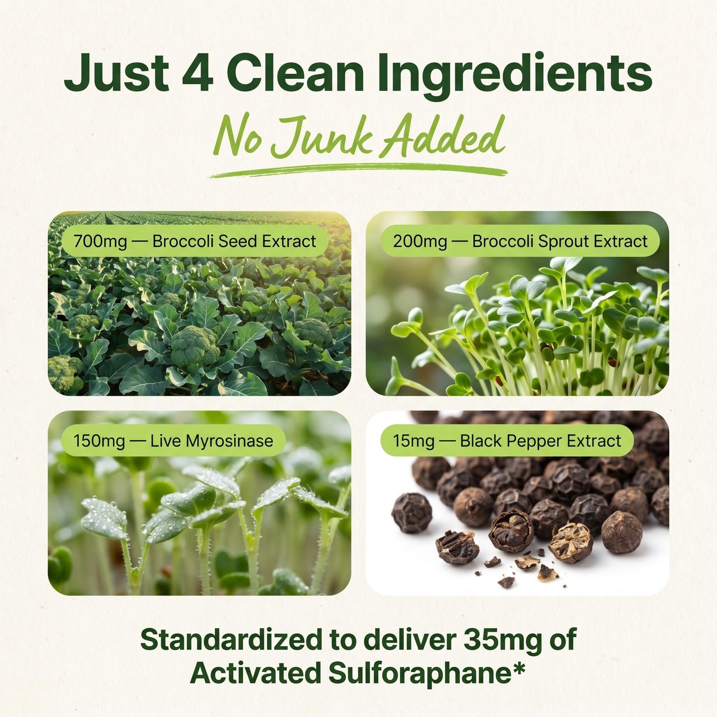 Broccoli Sprout Extract Capsules