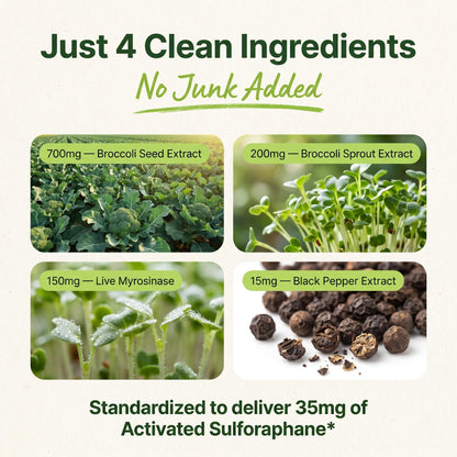 Broccoli Sprout Extract Capsules