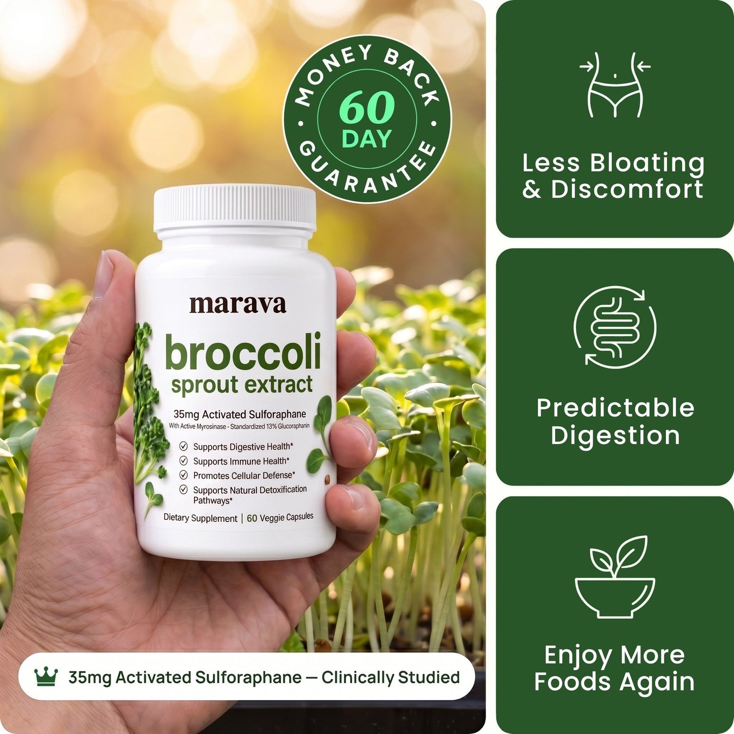 Broccoli Sprout Extract