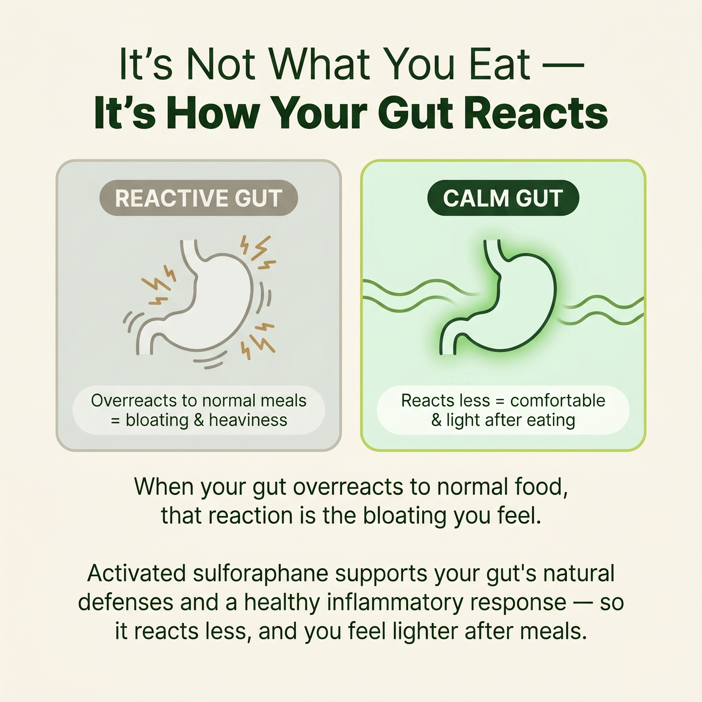 Broccoli Sprout Extract Capsules